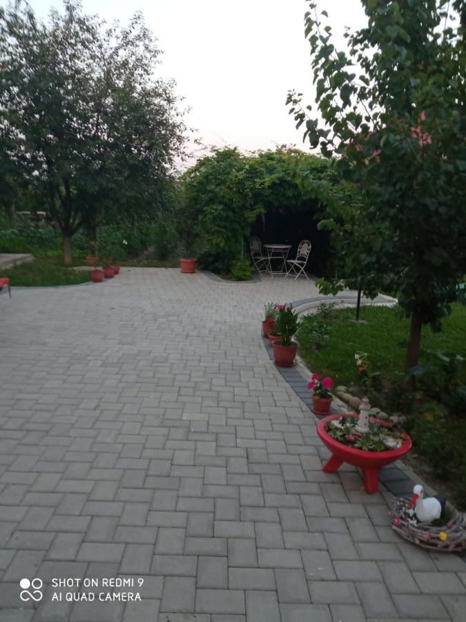 Agropensiunea Florina-Maria Branistea  Εξωτερικό φωτογραφία